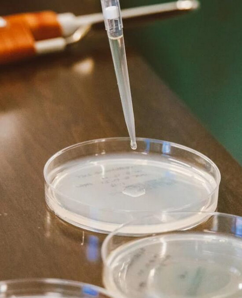 替格瑞洛杂质12