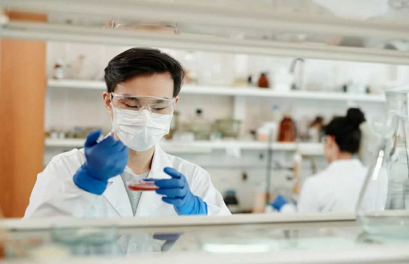 5N-1(分离纯化),5N-1(分离纯化)标准品,5N-1(分离纯化)对照品