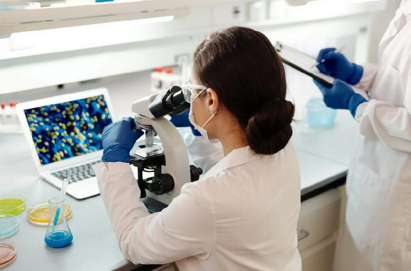 雷替曲塞杂质2,雷替曲塞杂质2标准品,雷替曲塞杂质2对照品