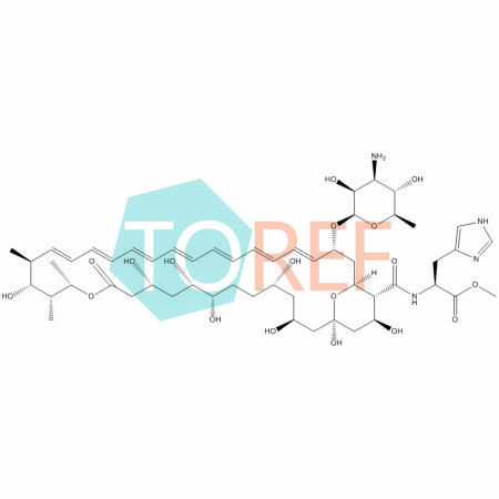 两性霉素B杂质 5