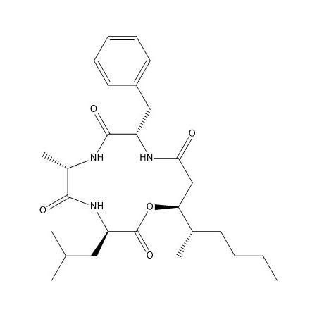 白僵内酯 I