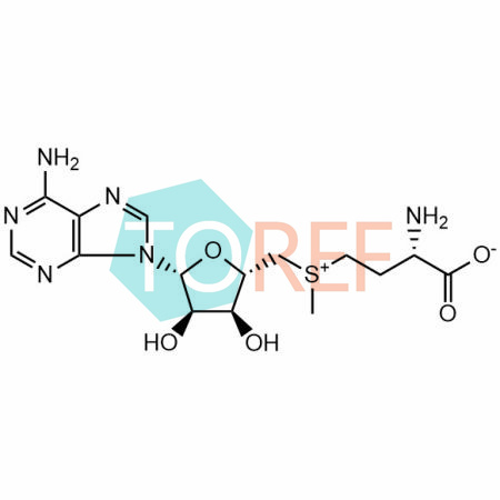 丁二磺酸腺苷蛋氨酸杂质6