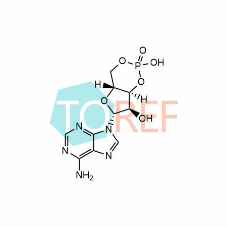 环磷酸腺苷