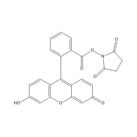 NHS-荧光素