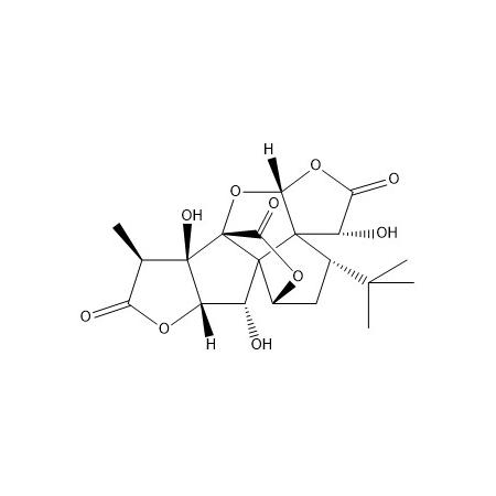 银杏内酯B