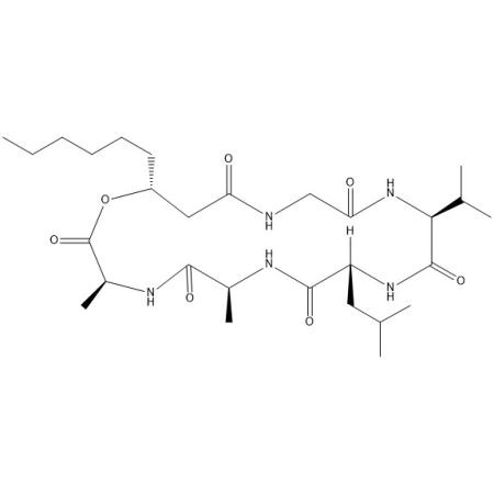 棒束孢菌素 C