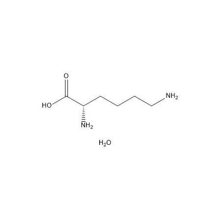 L-赖氨酸一水物