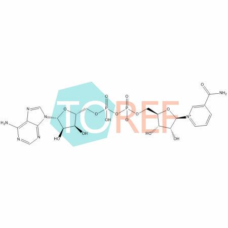 β-烟酰胺腺嘌呤二核苷酸