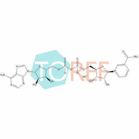 β-烟酰胺腺嘌呤二核苷酸钠盐