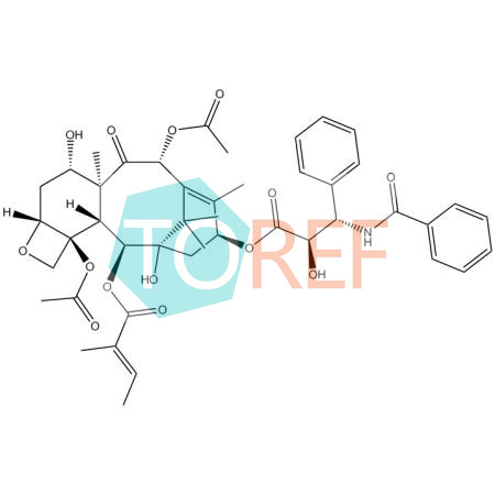 紫杉醇EP杂质A