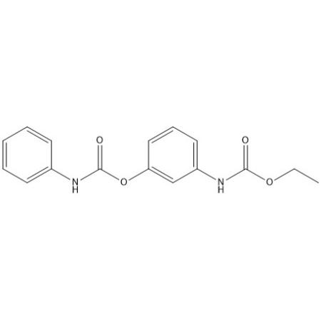 扑热息痛杂质28