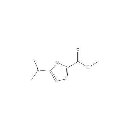 5-(二甲基氨基)-2-噻吩羧酸甲酯