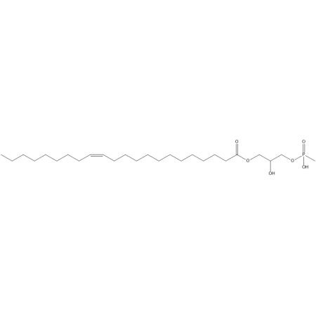 磷脂酰胆碱1