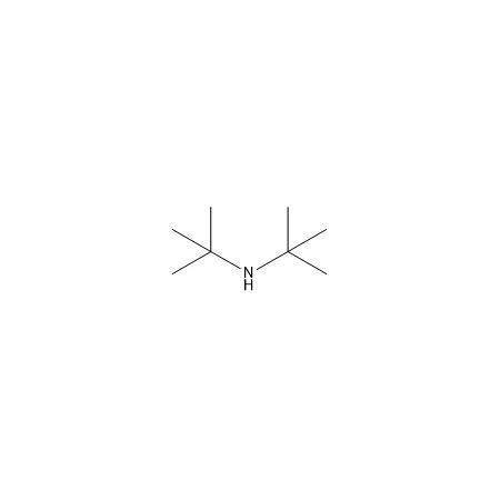 2- 叔丁胺