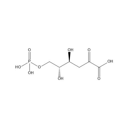 2-酮基-3-脱氧-6-磷酸葡萄糖酸盐
