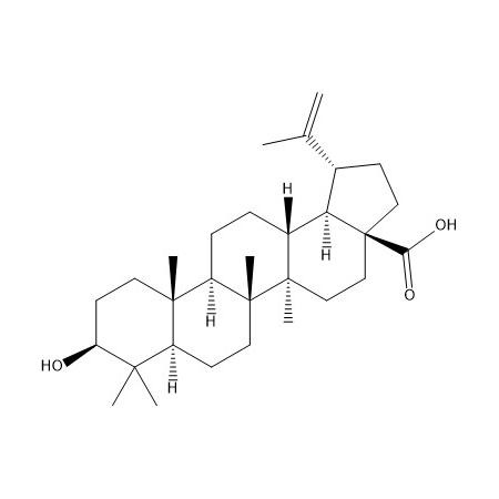 白桦脂酸